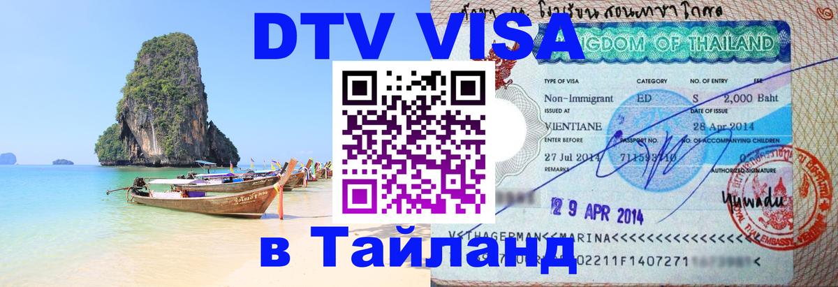 Сколько стоит DTV виза — актуальные цены, оформление даже без документов - Улан-Батор 